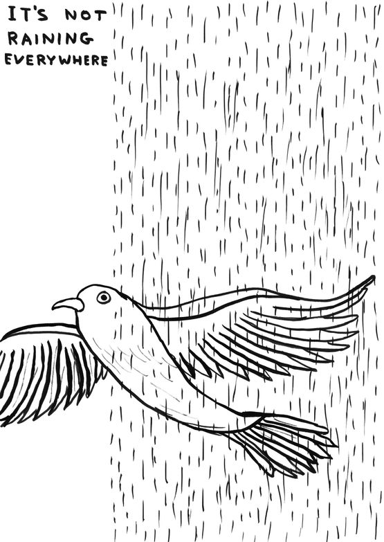 Untitled Its Not Raining Everywhere by David Shrigley contemporary artwork Works on Paper