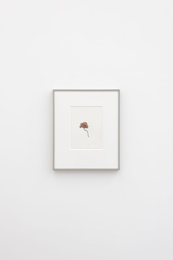 Untitled by Matt Connors contemporary artwork Works on Paper