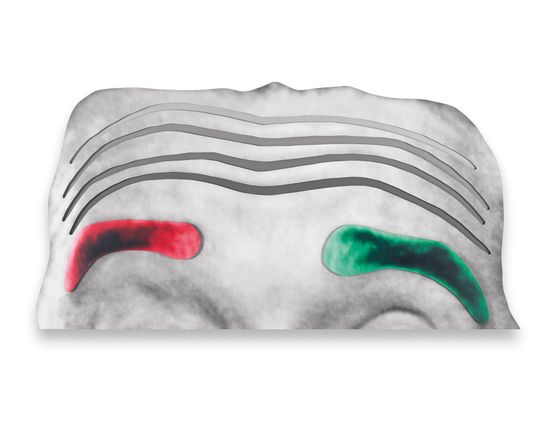 Raised EyebrowsFurrowed Foreheads Part One Red and Green Eyebrows by John Baldessari contemporary artwork Mixed Media