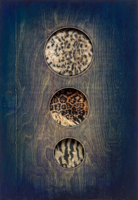 Bright Stars 3 by Park Chan-Kyong contemporary artwork Mixed Media