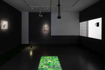 Contemporary art exhibition Li Tao London Allotments at Tabula Rasa Gallery London United Kingdom