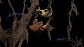 bien en voi ca vang black sea with goldfish by Quynh Dong contemporary artwork Moving Image