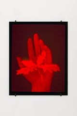 Hologram Sprouting Hand by Daniel Steegmann Mangrane contemporary artwork mixed media