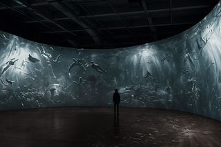 Contemporary art exhibition Edison Penafiel De ProfundisClamavi ad AstraFrom the Depths I Cried Out to the Stars at Locust Projects Miami United States
