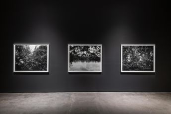 Contemporary art exhibition Dawoud Bey Stony The Road at Sean Kelly New York United States