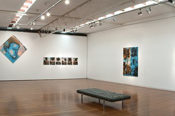 Contemporary art exhibition Tony Clark Shakespeare at Roslyn Oxley9 Gallery Sydney Australia