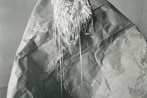 Senga Nengudi