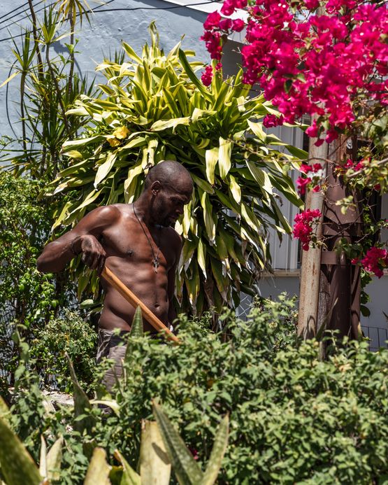 Gardening in Little Haiti by Anastasia Samoylova contemporary artwork Photography