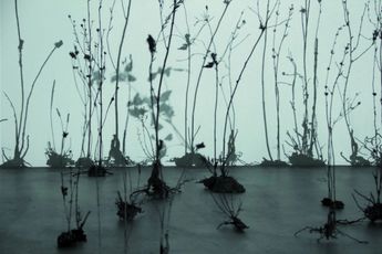 Contemporary art exhibition Ursula Palla The Moon in My Pocket at Tang Contemporary Art Seoul South Korea
