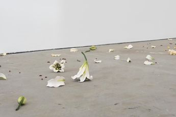 Contemporary art exhibition Cindy Huang Landings at Gertrude Contemporary Melbourne Australia