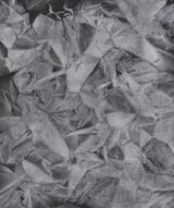 Texture of the Living 2120 by Fujiwara Shiho contemporary artwork works on paper