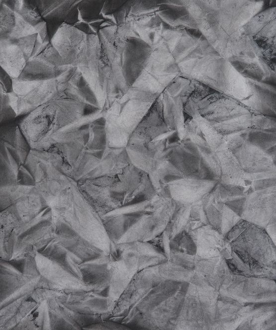 Texture of the Living 2120 by Fujiwara Shiho contemporary artwork Works on Paper
