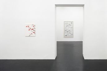 Contemporary art exhibition Frances Stark Destroy Date at Galerie Buchholz Cologne Germany