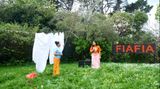 Be Happy by Christopher Ulutupu contemporary artwork moving image