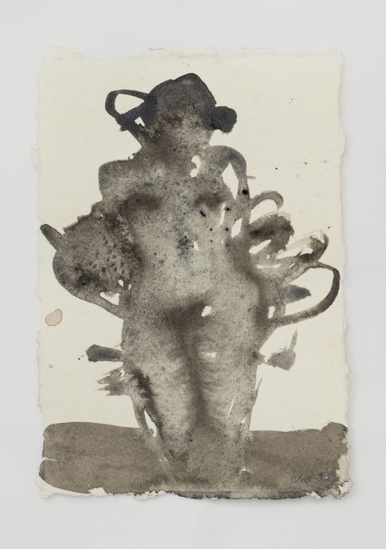 Branch by Seraphine Pick contemporary artwork Works on Paper
