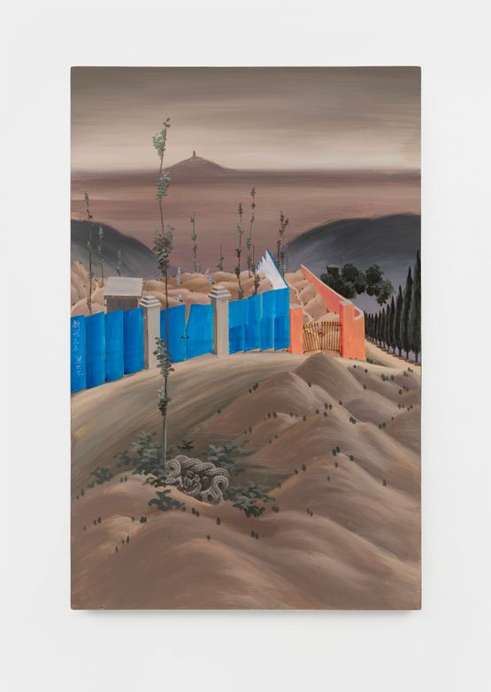 My Homeland 20 by Liang Shuo contemporary artwork Painting