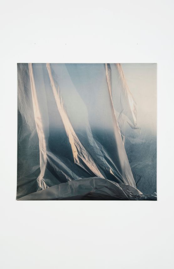 Untitled 1151 by Elisa Sighicelli contemporary artwork Photography
