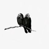 2 by Tshepiso Moropa contemporary artwork works on paper