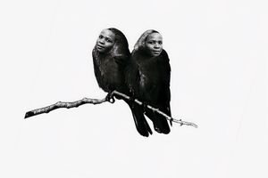 Tshepiso Moropa