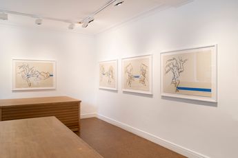 Contemporary art exhibition Fabienne Verdier Pineta at Galerie Lelong 13 Rue de Teheran Paris France