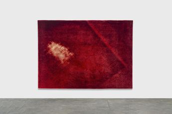 Contemporary art exhibition Marcos Chaves Sangue Azul  Blue Blood at Galeria Nara Roesler Sao Paulo Brazil