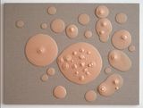 Travels near the skin by Patricia Piccinini contemporary artwork painting
