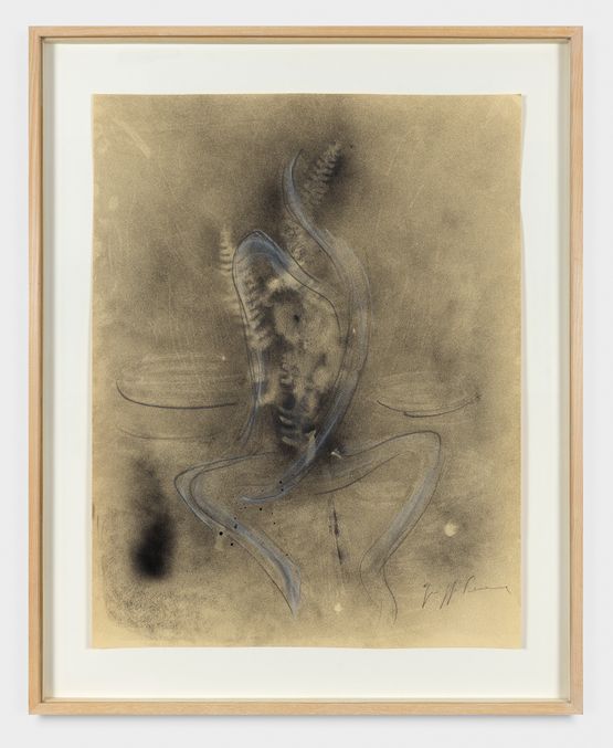 Untitled by Giuseppe Penone contemporary artwork Works on Paper