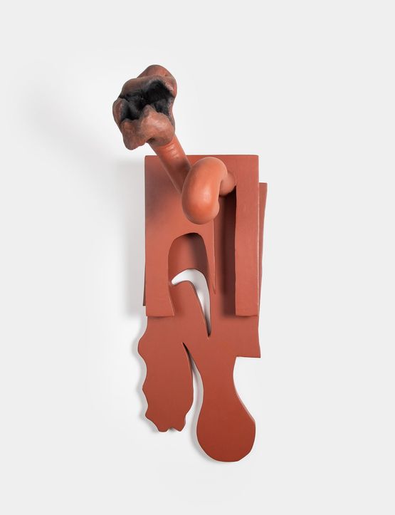 Sombra projetada Projected Shadow by Frans Krajcberg contemporary artwork Sculpture