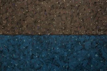 Qiang Chen contemporary artist