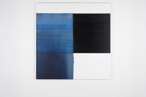 Callum Innes