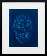 Earthly Perseids by Itamar Gov contemporary artwork photography