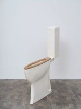 Toilet by Erwin Wurm contemporary artwork mixed media painting