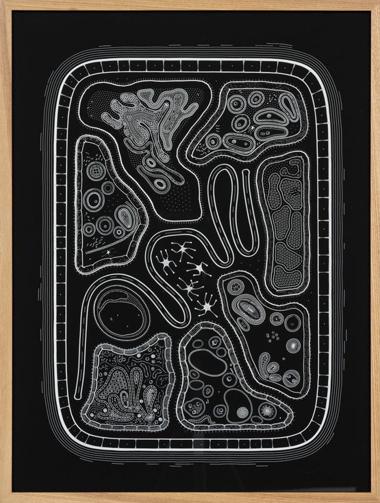 Zoofolium 10 by Golan Levin contemporary artwork Drawing