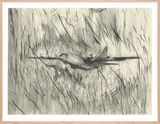 Rainy Day by Sabine Moritz contemporary artwork drawing painting