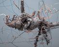 Become a part of something_Heart by Seongyeon Jo contemporary artwork Print