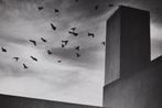 Armando Salas Portugal contemporary artist