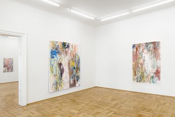 Contemporary art exhibition Caitlin Lonegan hot clear scratchy soft at Galerie nachst St. Stephan Rosemarie Schwarzwalder Vienna Austria