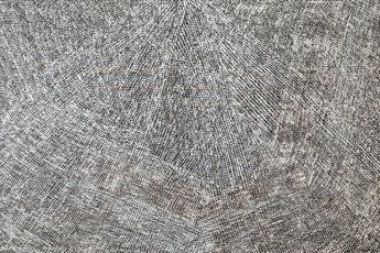 Delores Tipuamantumirri contemporary artist