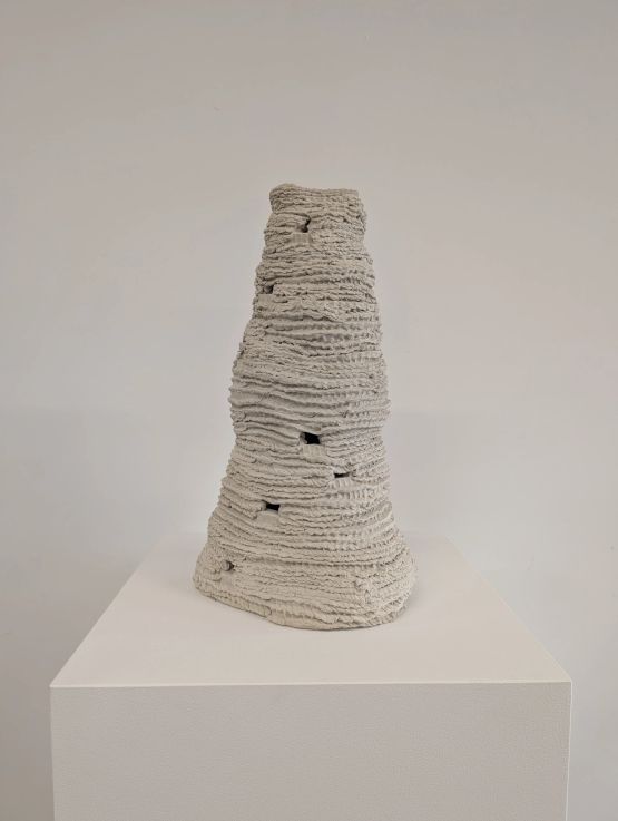 Untitled from the series Cupinzeiros by Lidia Lisboa contemporary artwork Sculpture