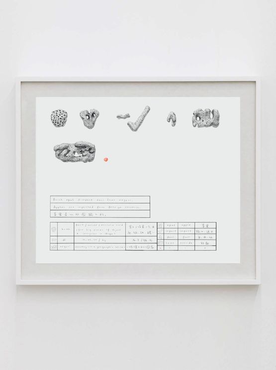 Coral Dictionary Apples are imported from foreign countries. by Chang Yuchen contemporary artwork Works on Paper
