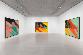 Contemporary art exhibition Sterling Ruby DROWSE MURMURS at Xavier Hufkens St-Georges Belgium