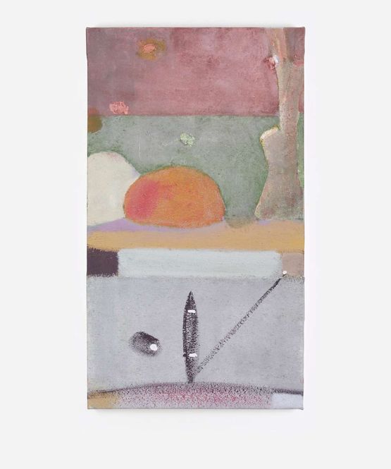 Tree and Shapes by Merlin James contemporary artwork Painting