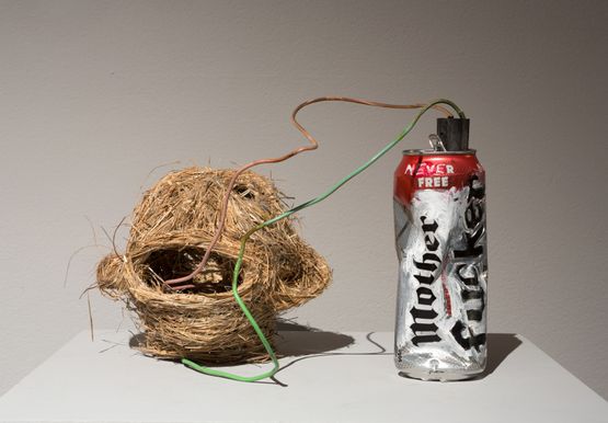 Mother Fucker improvised explosive device by Fiona Hall contemporary artwork Sculpture