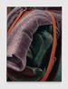 A kind of endearment by Bendt Eyckermans contemporary artwork Painting