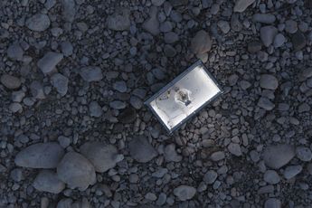 Xin Liu contemporary artist