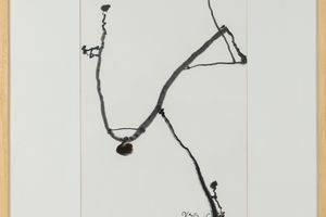 Wang Chuan