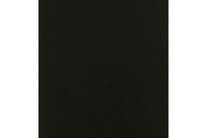 Richard Serra
