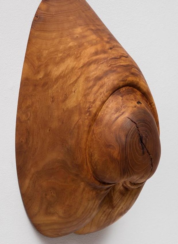 ROSS RUDEL