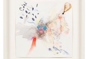 Lucy Dodd