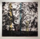 Falling Suspended after Charles Walter by Caroline Rothwell contemporary artwork mixed media